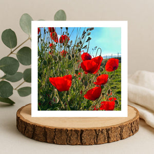 Flowers, Plants & Forest Cards