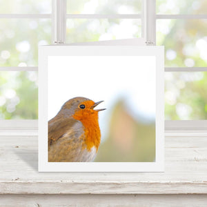 Wildlife Cards