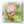 Bumblebee on a pink flower with a blurred green background