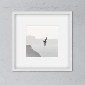 Fulmer bird with wings outstretched flying over a cornish headland with a hotel in the background. Black nd white