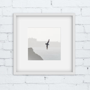A square framed art print featuring a bird in flight over a hazy coastal landscape, mounted on a white brick wall.