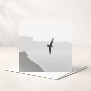 A square greeting card with a white envelope, featuring a minimalist grayscale photograph of a bird flying over a coastal cliff and sea. The card is displayed standing upright on a light beige surface.