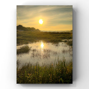 Sunrise over a marsh with water reflecting the orange sky