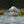 White Little Egret fishing in a body of water with grasses