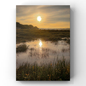 Sunrise over a marsh with water reflecting the orange sky