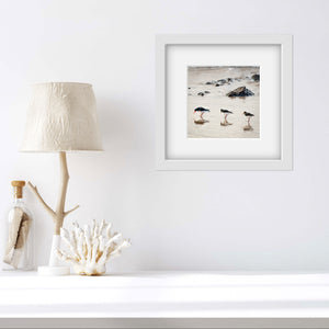 Photograph of three Oystercatchers on a rocky beach reflected in the sand. The picture is in a square white frame with white mount on a white wall with a lamp and coral to one side