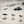 Photograph of three Oystercatchers on a rocky beach reflected in the sand. 