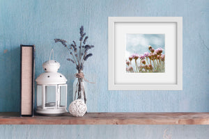 Sea pink flowers and bee in a white frame against a blue wall. There is a wooden shelf below with trinkets