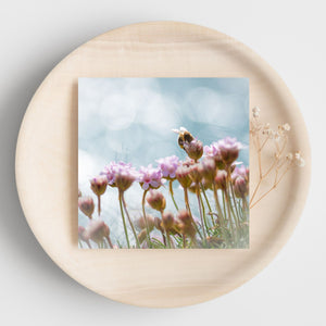 photo of sea pink flowers with a bee and circles of light behind. Image on a greetings card on a pale wooden plate