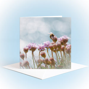 sea pink flowers with a bee and circles of light behind. On the front of a blank card with white envelope