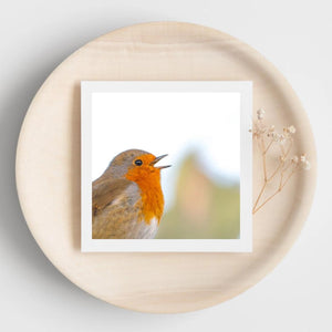 Greetings card of a robin singing. The card is displayed on a wooden plate with dried flowers.