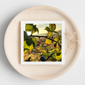 Square greetings card of a nature scene with leaves and berries on a round beige surface.