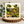 White bordered nature print of a branch with leaves and berries on a greetings card displayed on a wooden stand.