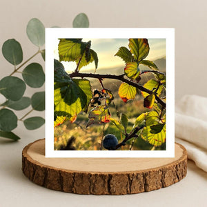 White bordered nature print of a branch with leaves and berries on a greetings card displayed on a wooden stand.