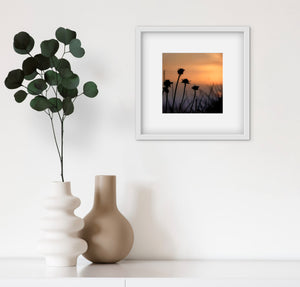 Photo of coastal flowers silhouetted against a sunset sky. Square print in white frame next to a vase with green leaves